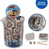 Fossil Dig -  Mini Palaeontology Kit