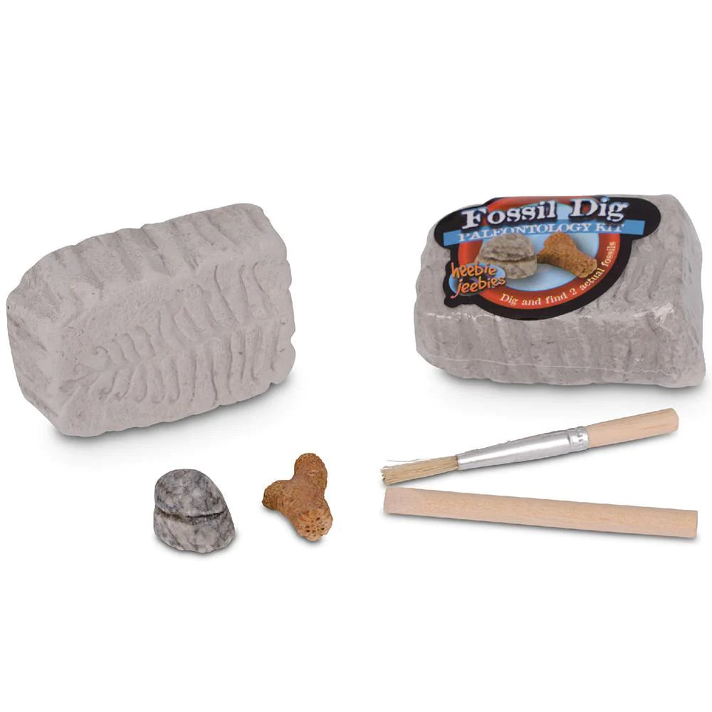 Fossil Dig -  Mini Palaeontology Kit