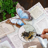 Sherlock Magnifying Glass