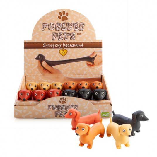 Stretchy Dachshund – William Ready