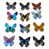 Magnetic Butterflies & Base