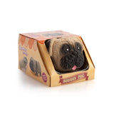 Stretchy Pug