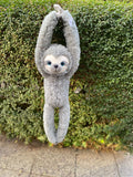 Hanging Sloth